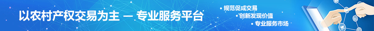 以农村产权交易为主 专业服务平台